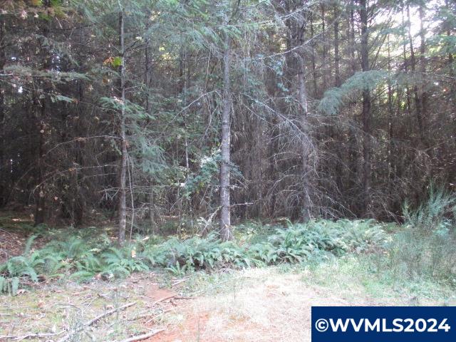 0 Northwest Crane (3) Road Yamhill, OR 97148 - Photo 10 of 14