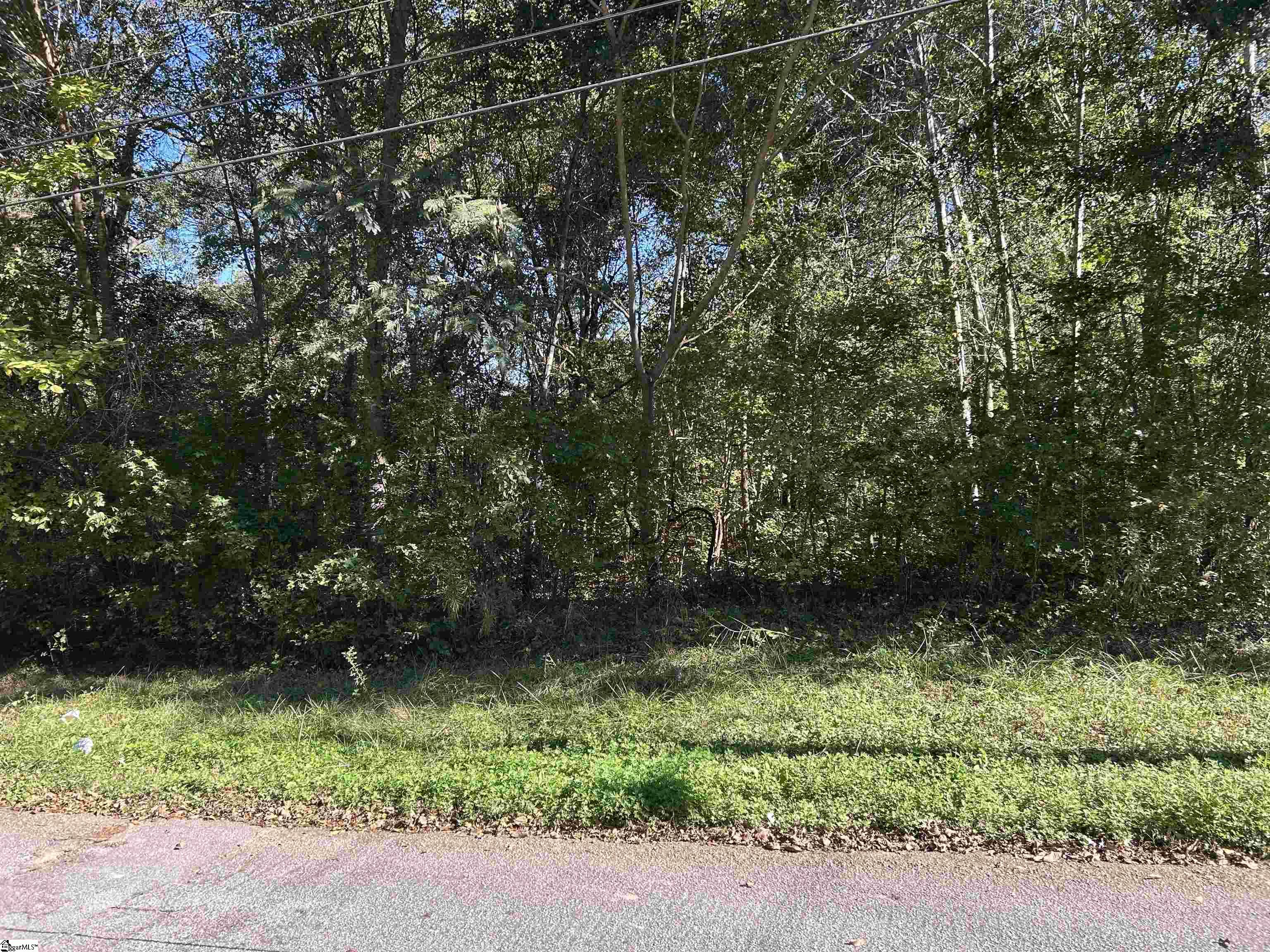 0 River Street Laurens, SC 29360 - Photo 2 of 4