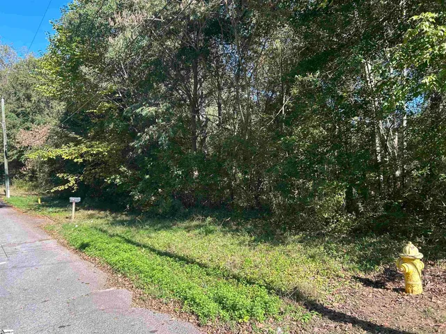 $60,000 | 0 River Street, Laurens, SC 29360