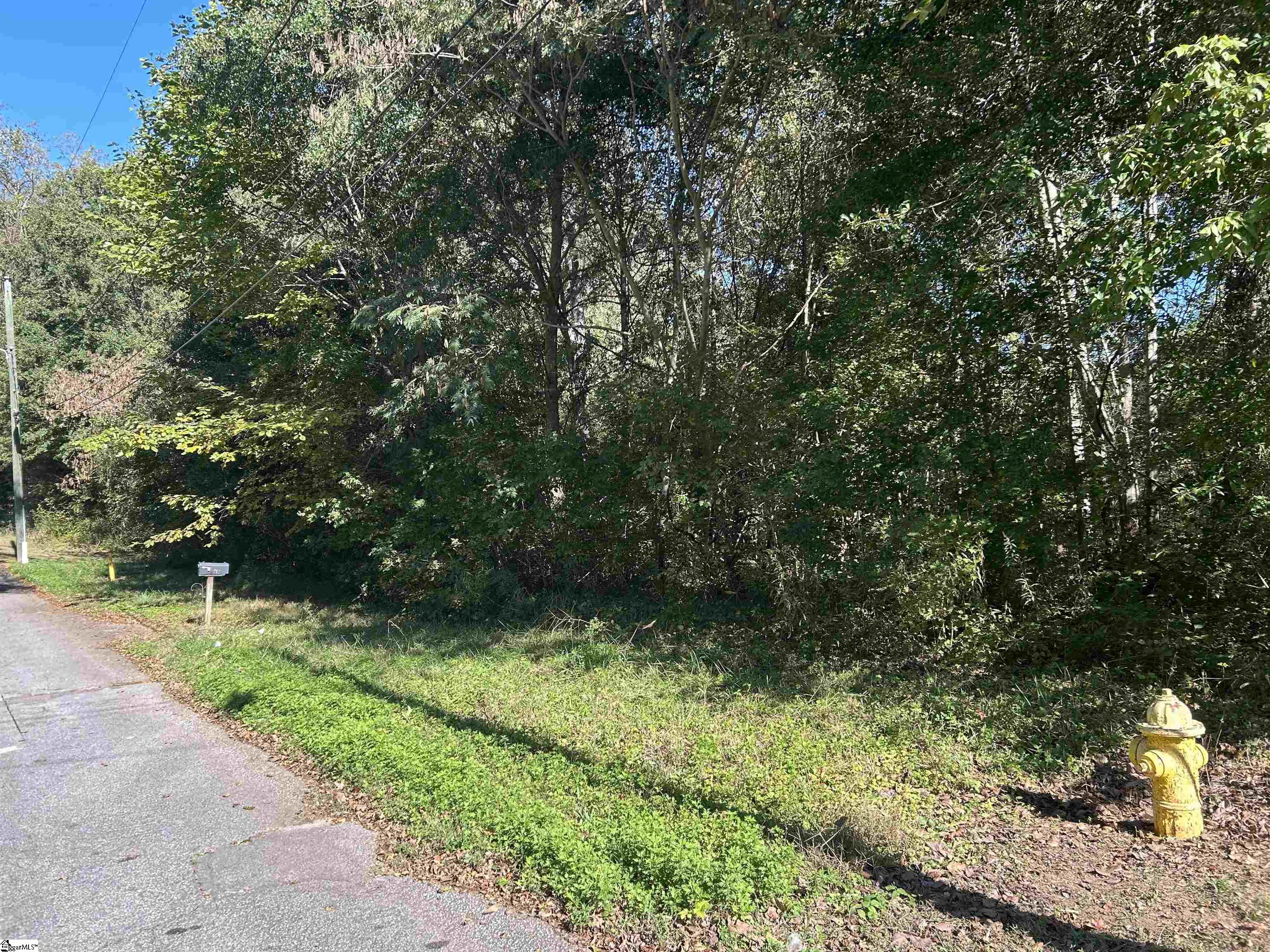 0 River Street Laurens, SC 29360 - Photo 3 of 4