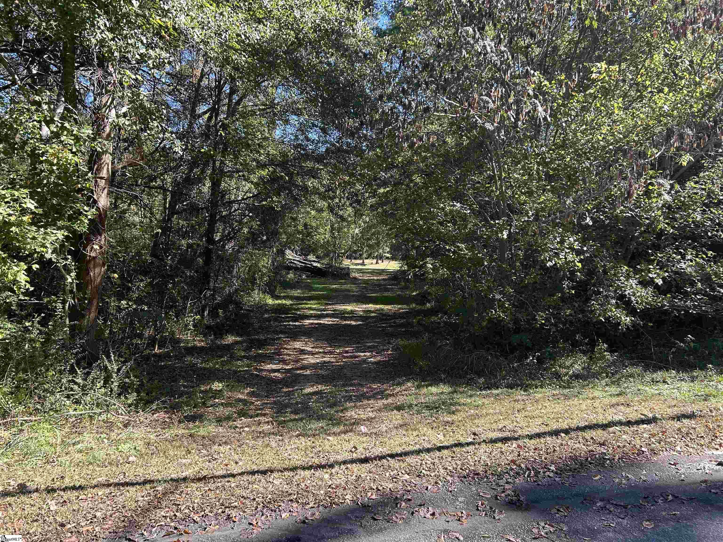 0 River Street Laurens, SC 29360 - Photo 4 of 4