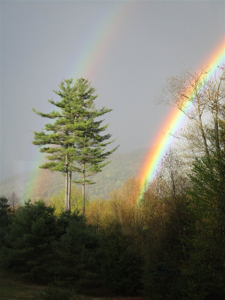 17 Lane Drive Newfane, VT 05345 - Photo 24 of 24 Gallery Image 24