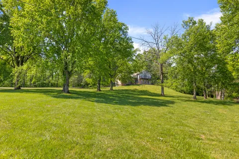 a view of a trees in a yard