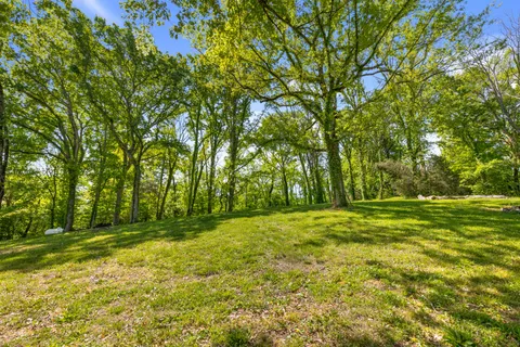 a yard with trees in the background