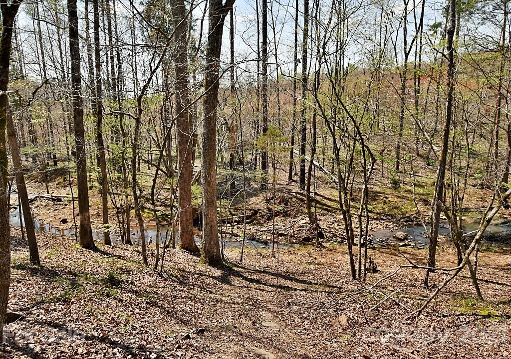 2087 Mission Road York, SC 29745 - Photo 30 of 30 a view of a yard with large trees