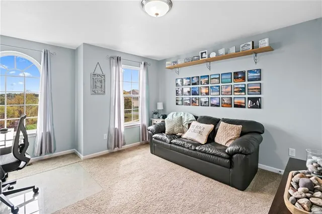 a living room with furniture and a book shelf