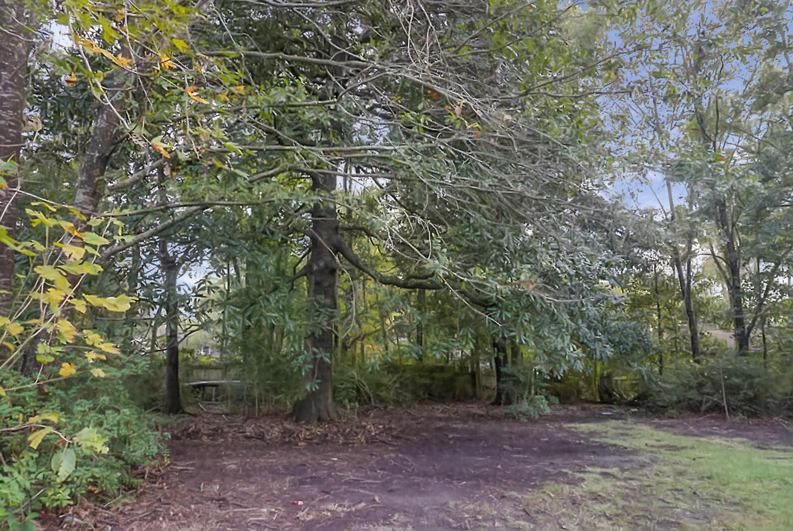 110 Parish Road Goose Creek, SC 29445 - Photo 35 of 36 DSC07564