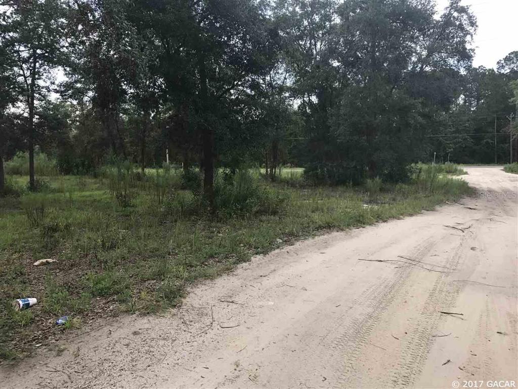 0 Melba Keystone Heights Keystone Heights, FL 32656 - Photo 1 of 1 a view of a yard with trees