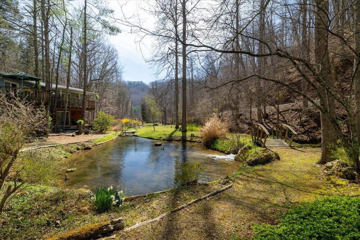 1256 Falling Branch Road Christiansburg, VA 24073 - Photo 45 of 63 Gallery Image 45