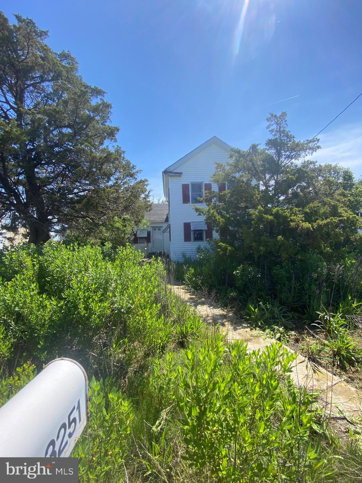 3251 Marsh Road Ewell, MD 21824 - Photo 4 of 23 a view of a yard in front of house