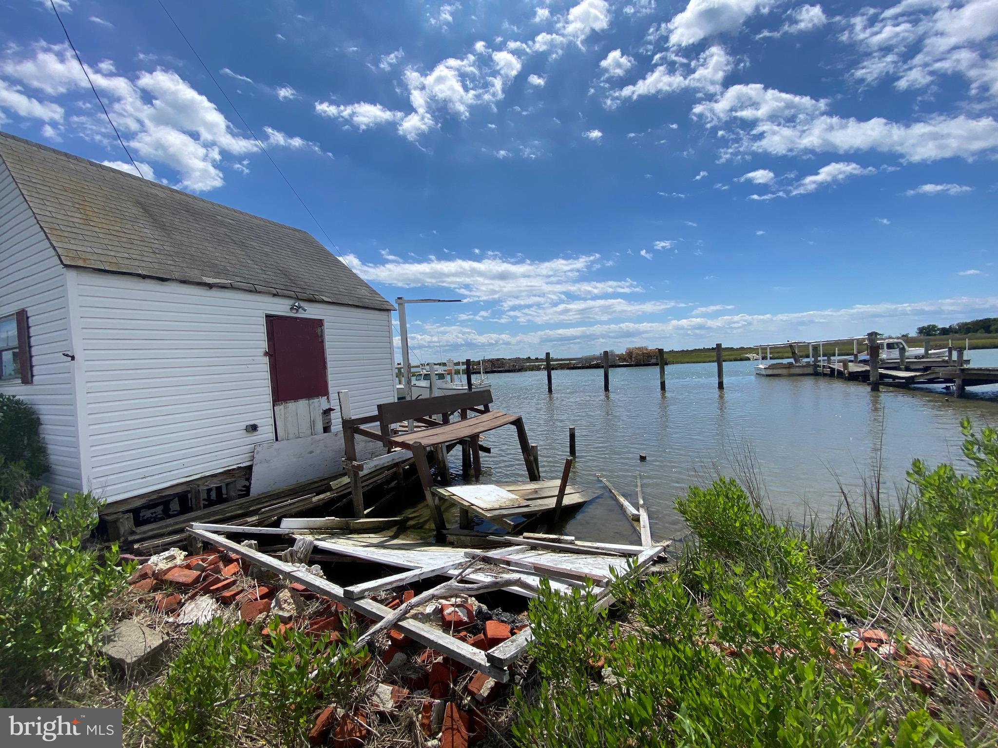 3251 Marsh Road Ewell, MD 21824 - Photo 6 of 23 a view of a backyard with plants and a patio
