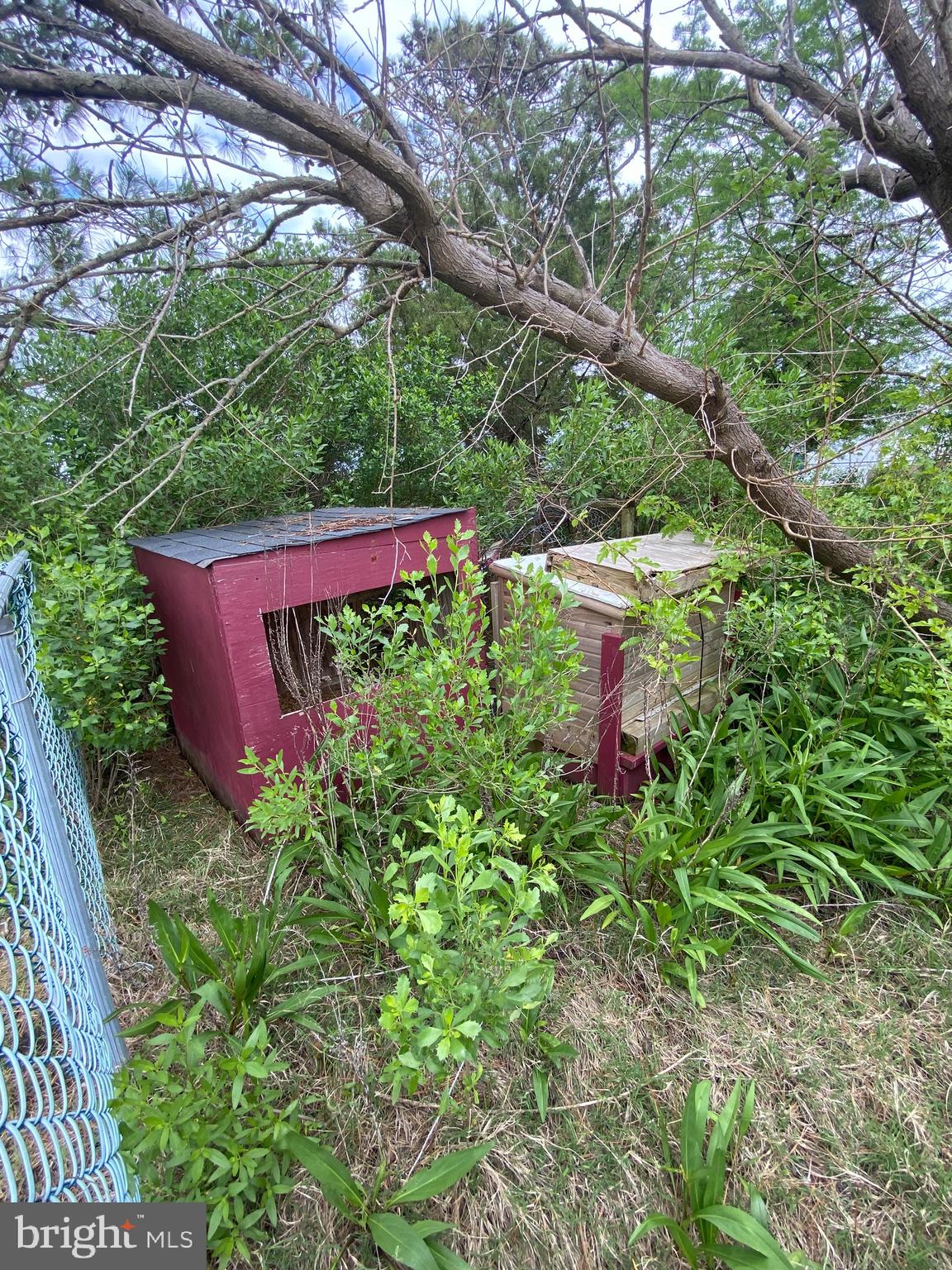 3251 Marsh Road Ewell, MD 21824 - Photo 9 of 23 a view of a yard with large trees