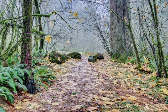a view of a swimming pool with lawn chairs under an umbrella
