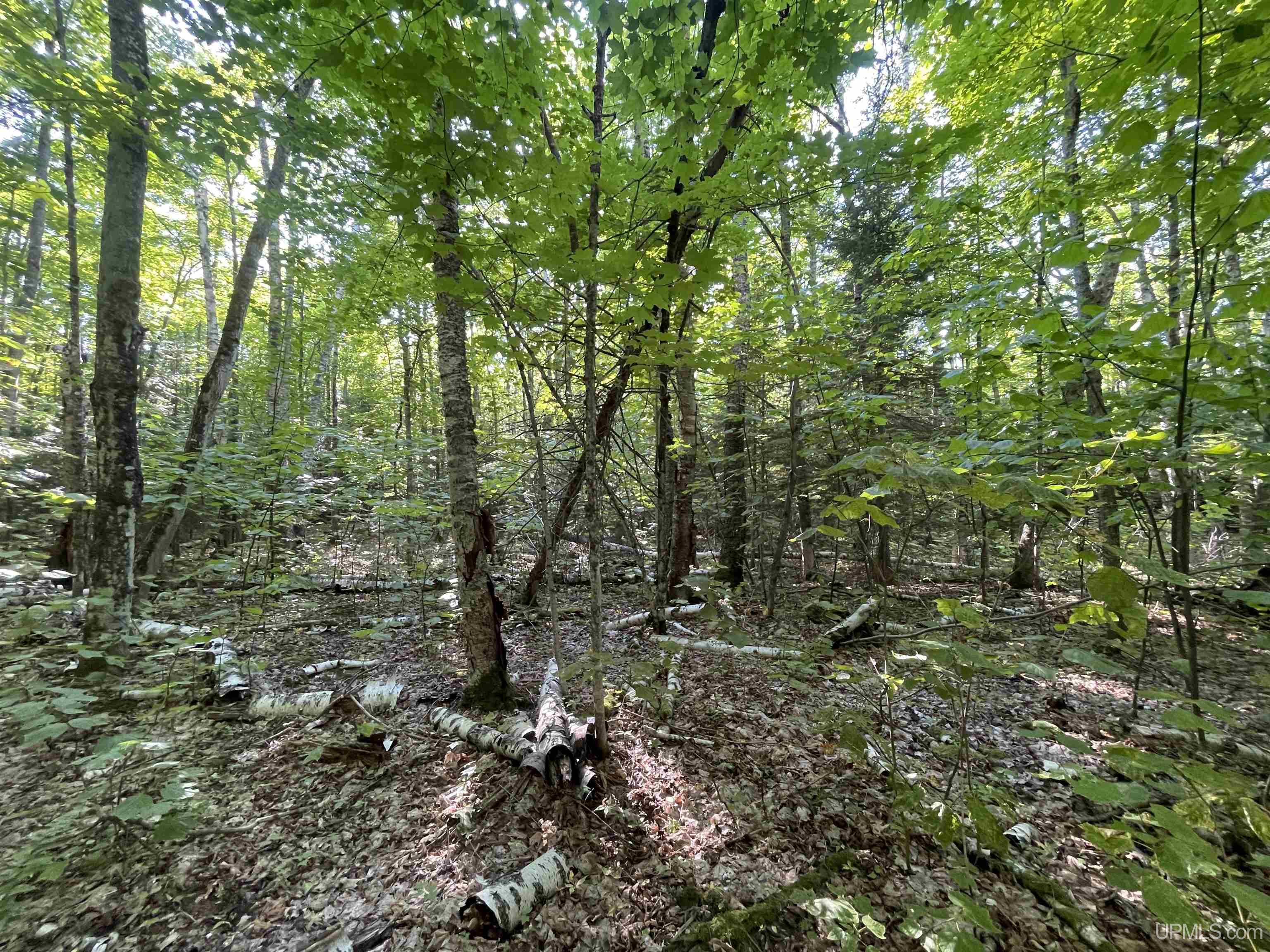 Lot 2 Point Abbaye Road Lanse, MI 49946 - Photo 20 of 26 Gallery Image 20