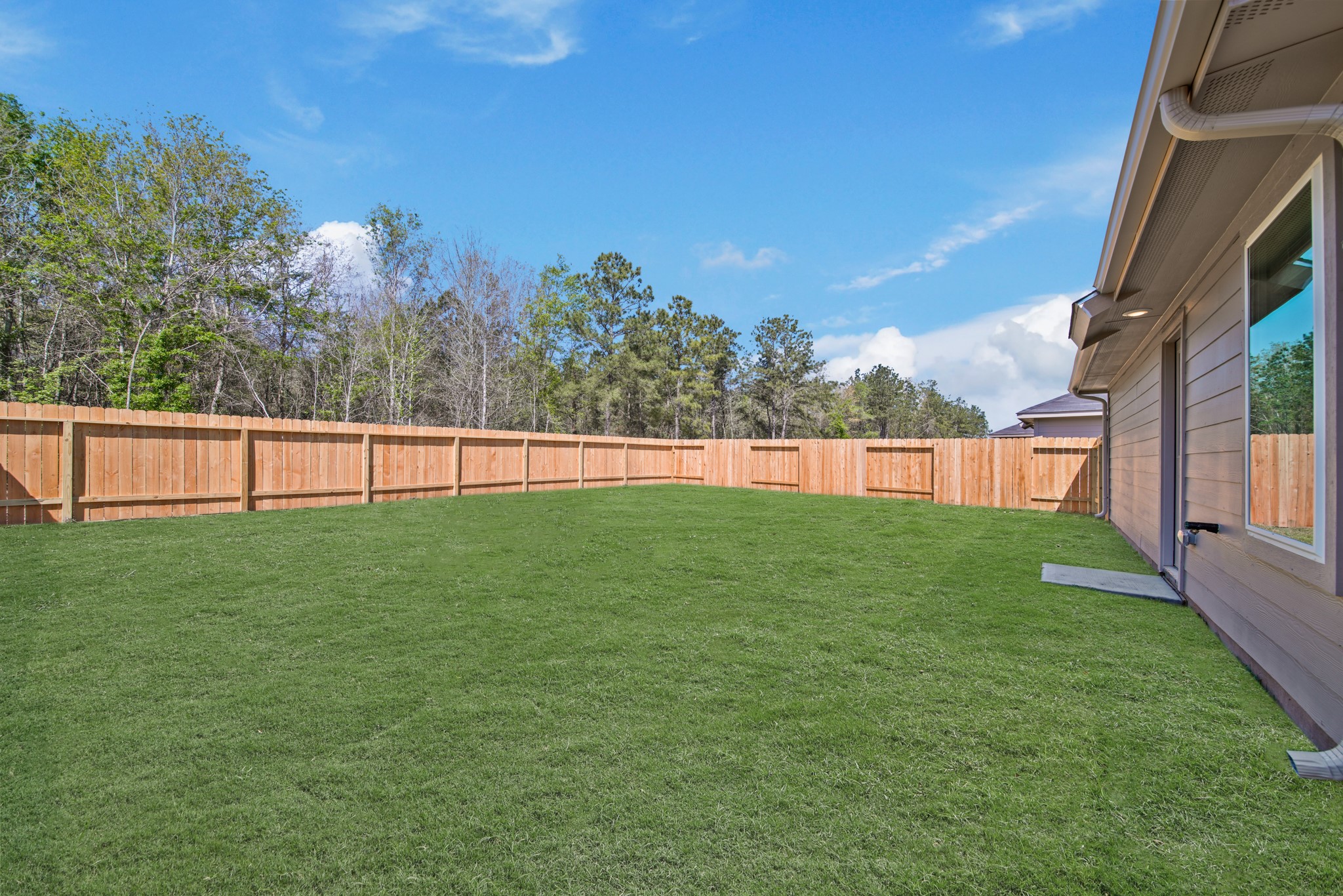 19956 Hilbert Road New Caney, TX 77357 - Photo 18 of 27 a view of yard with grass and trees