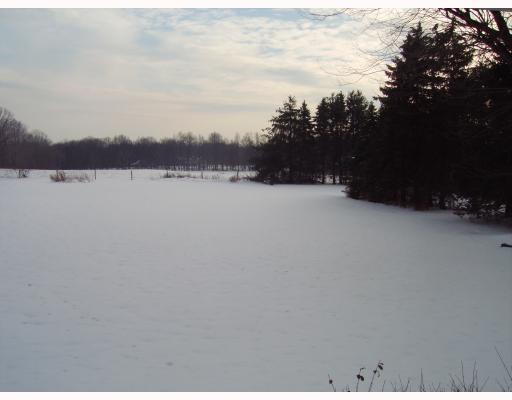 4230 Morefield Road Hermitage, PA 16148 - Photo 6 of 6 Land/Lot.