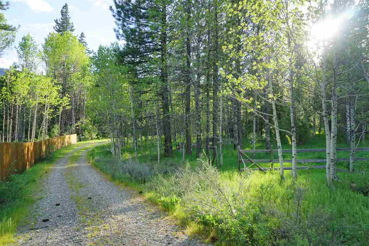 656 Main Street Calpine, CA 96124 - Photo 14 of 14