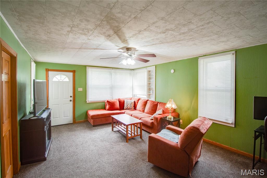 701 East Chestnut Street Gillespie, IL 62033 - Photo 5 of 41