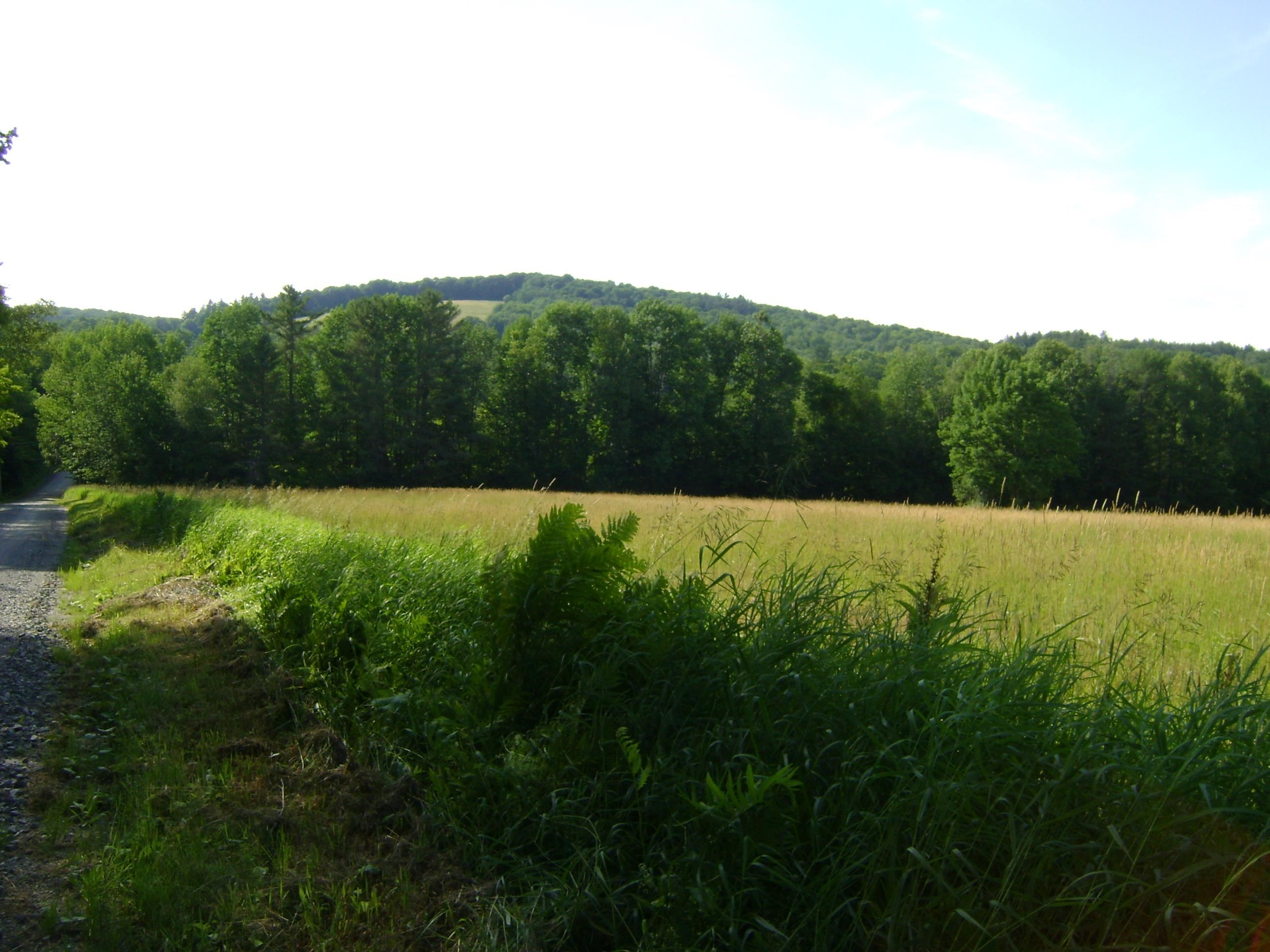 0 Miller Pond Road Vershire, VT 05079 - Photo 1 of 11