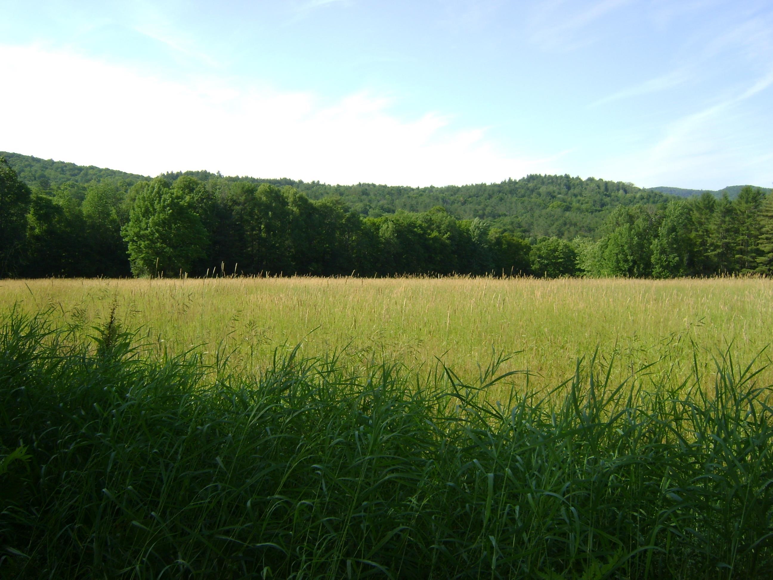 0 Miller Pond Road Vershire, VT 05079 - Photo 2 of 11