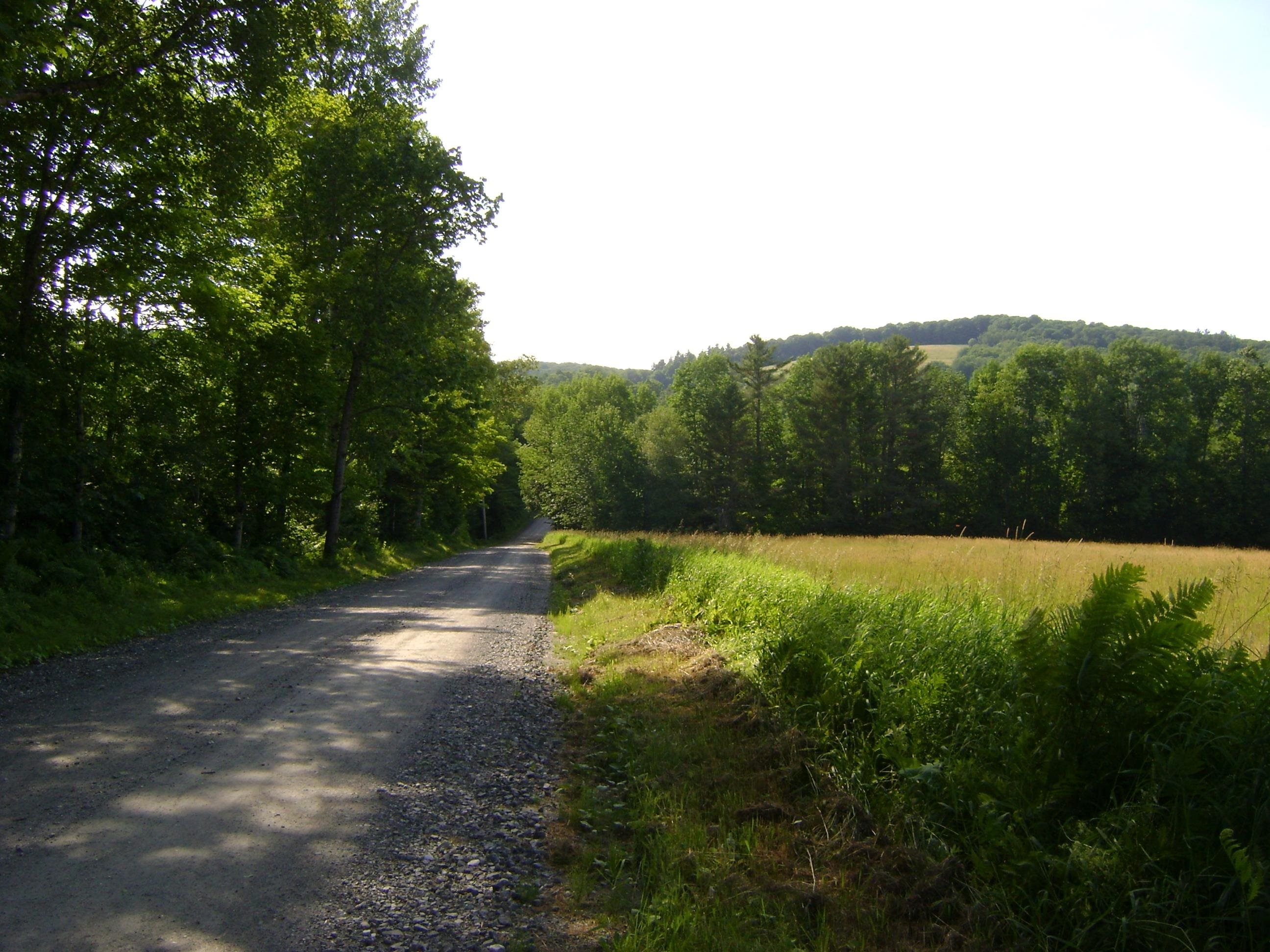 0 Miller Pond Road Vershire, VT 05079 - Photo 8 of 11