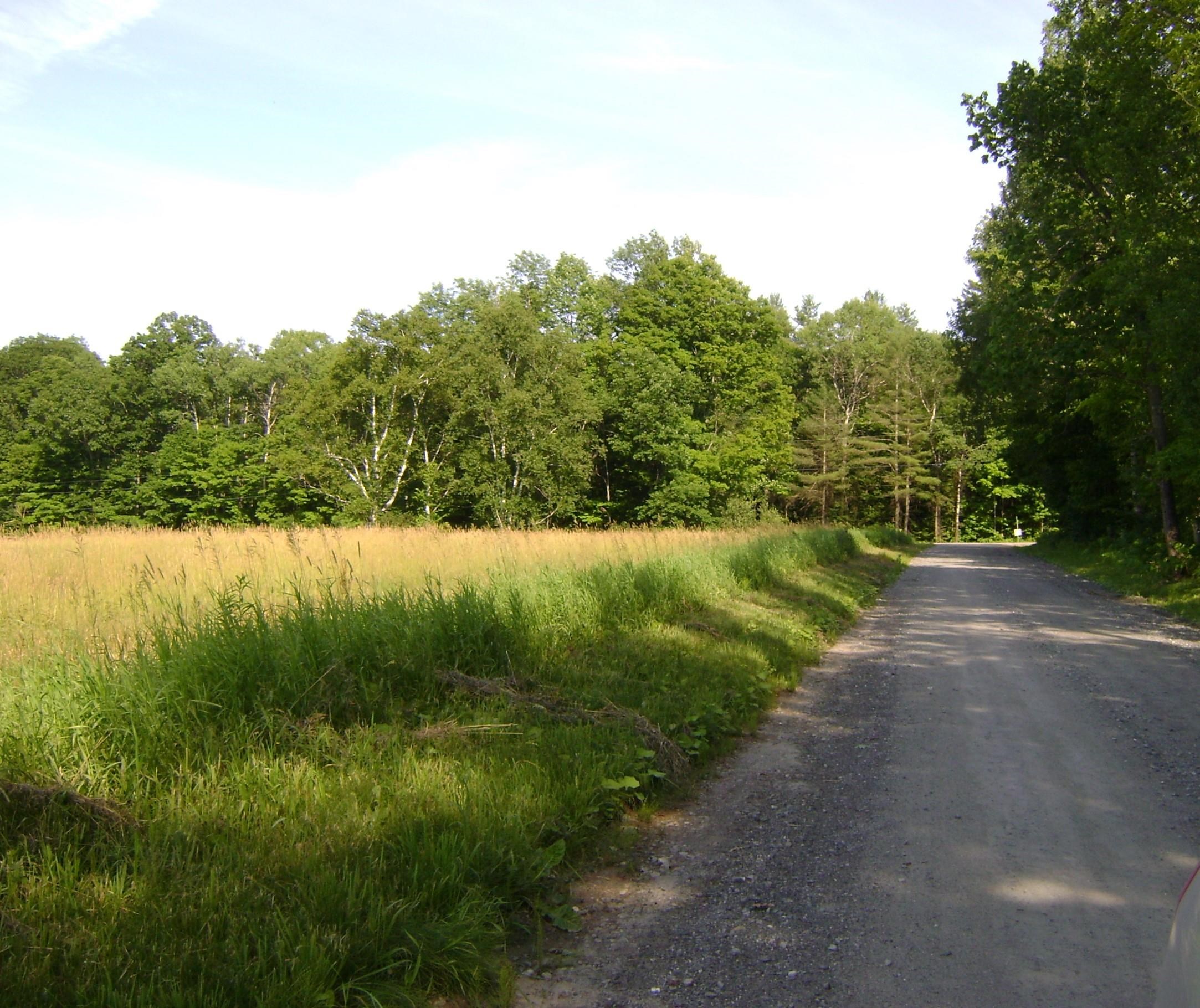 0 Miller Pond Road Vershire, VT 05079 - Photo 9 of 11