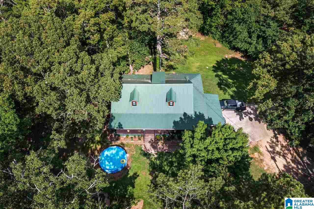 56304 Highway 231 Oneonta, AL 35121 - Photo 42 of 50