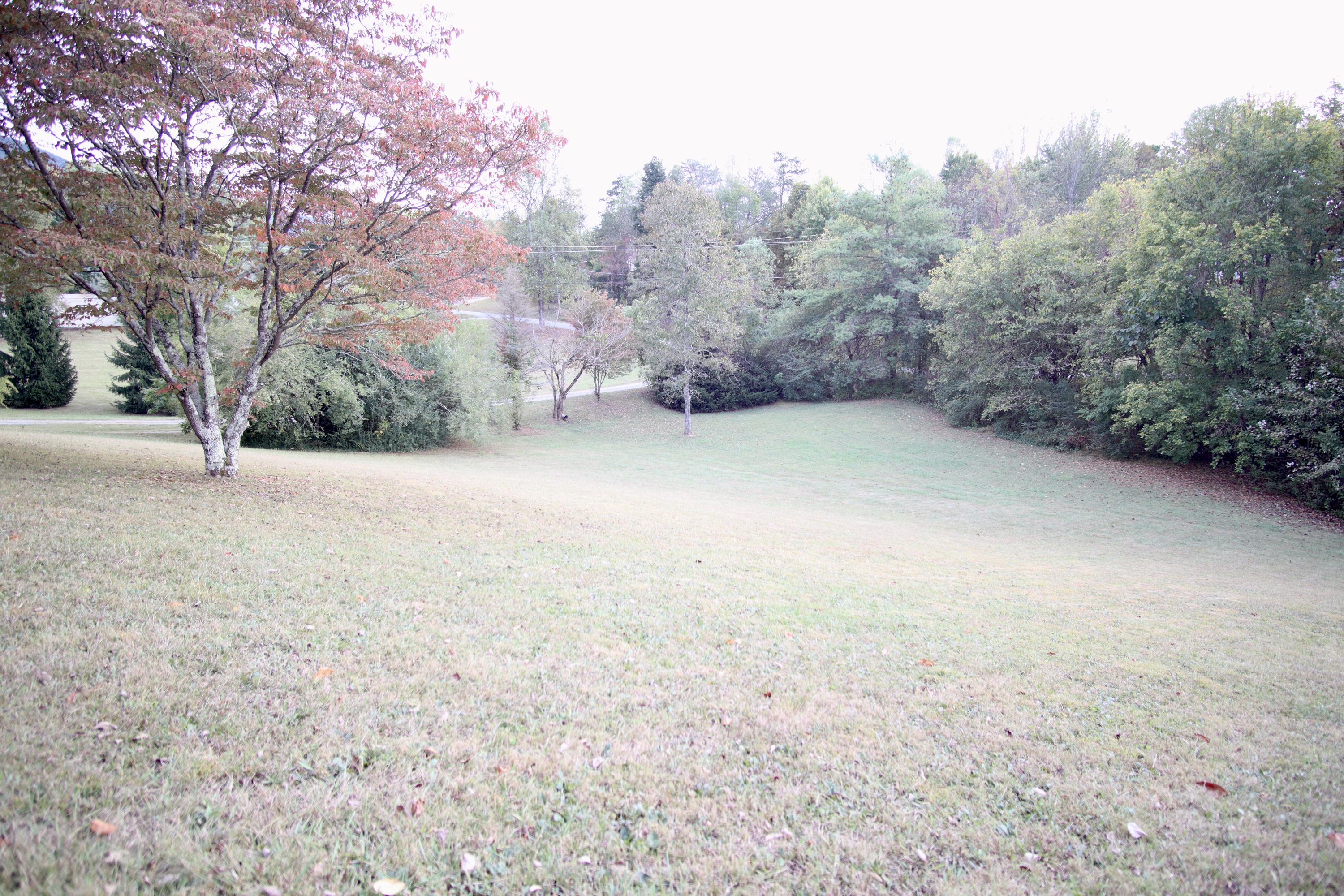 3377 Mattox Cemetery Road Sevierville, TN 37862 - Photo 12 of 13 IMG_0534