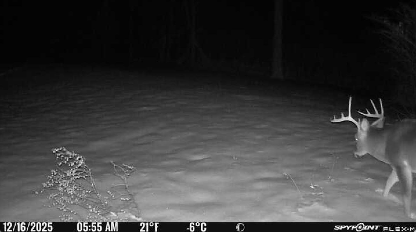 250 Fenton Road Chester, VT 05143 - Photo 24 of 29