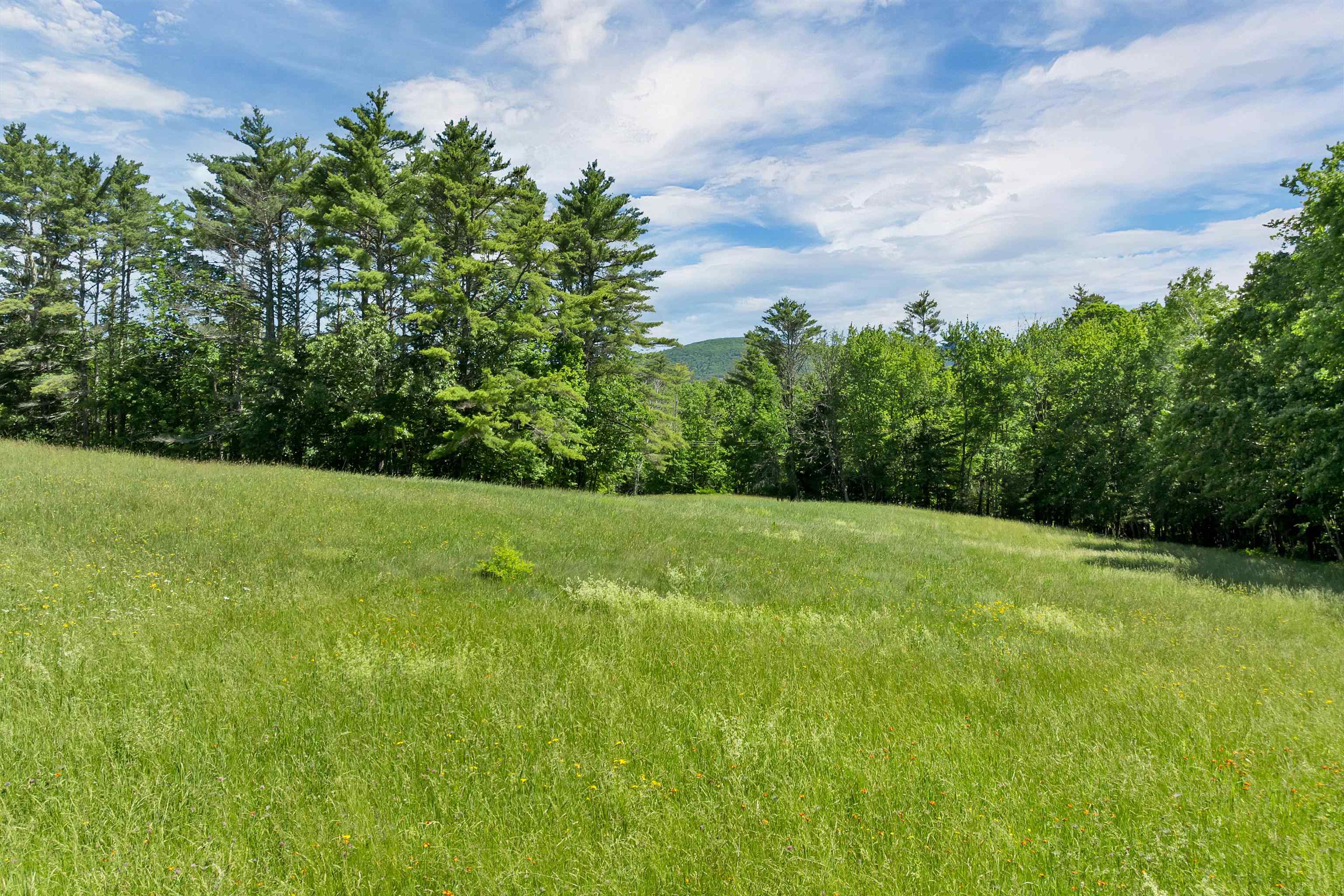 0 Beaver Pond Road Moultonborough, NH 03254 - Photo 36 of 46