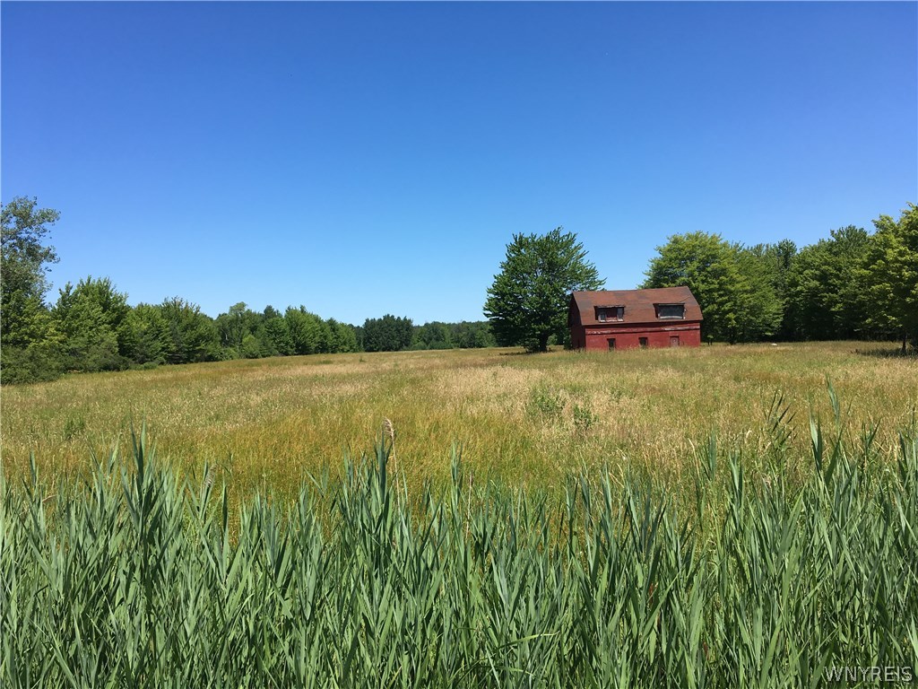 1464 Cain Road Evans, NY 14006 - Photo 1 of 1