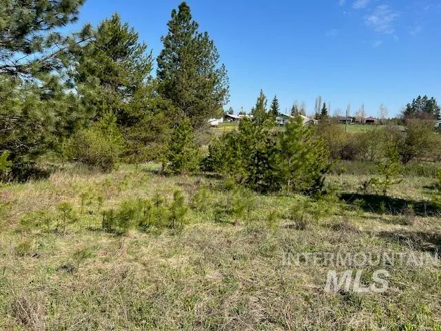 $273,000 | Tbd Pleasant Acres Drive, Weippe, ID 83553