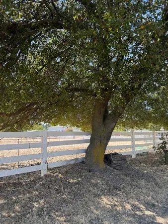 a view of yard with wooden fence