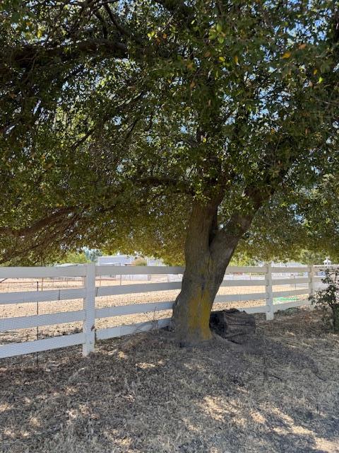 9537 Wamble Road Oakdale, CA 95361 - Photo 3 of 29 a view of yard with wooden fence