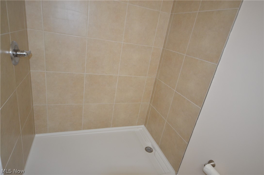 989 Industry Road Atwater, OH 44201 - Photo 28 of 45 large shower