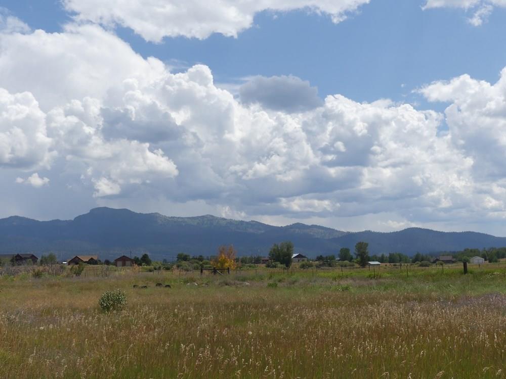 Lot 3 Springer Court, Unit 3 McCall, ID 83638 - Photo 1 of 11 Main View