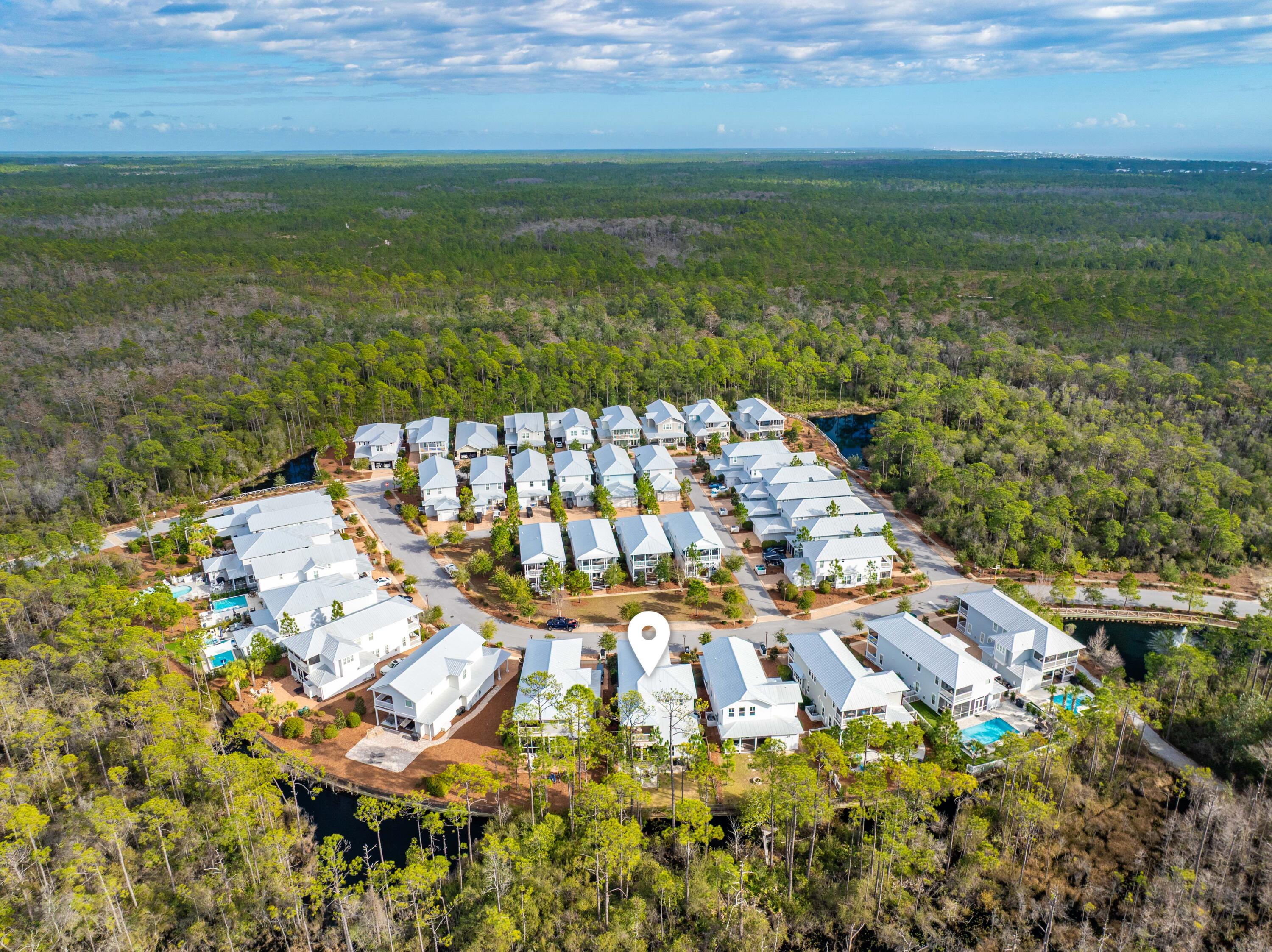 1101 Sandgrass Boulevard Santa Rosa Beach, FL 32459 - Photo 4 of 73 1101 Sandgrass Aerials Marked-7