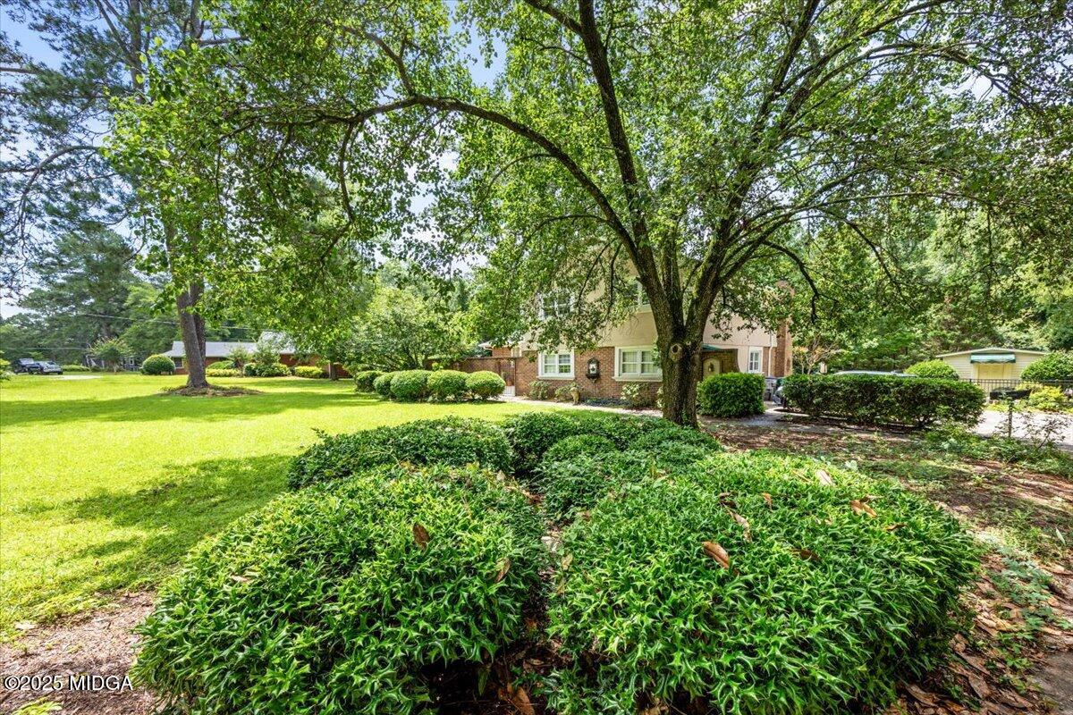 1414 Park Avenue Perry, GA 31069 - Photo 3 of 37 a view of a yard with a large trees