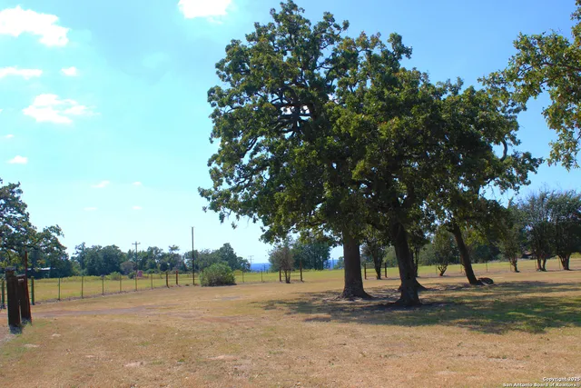 a lake view with large trees