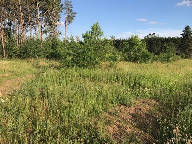 Lot 1 Pioneer Road Mosinee, WI 54455 - Photo 1 of 1