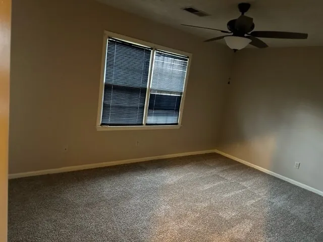 a bathroom with a shower and a toilet
