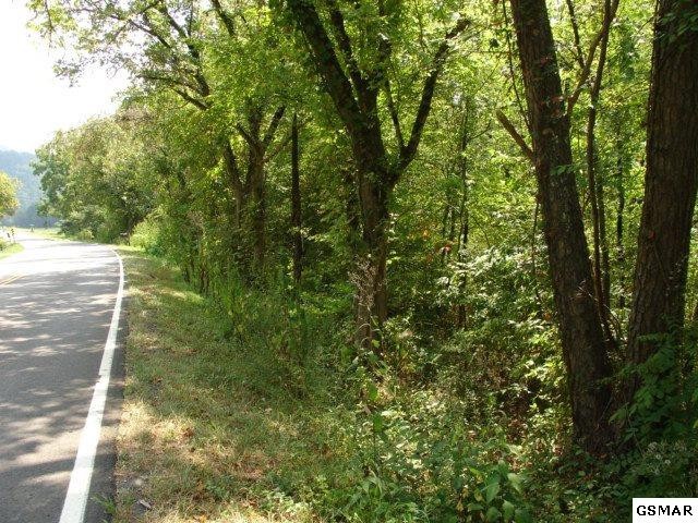 3 Jones Cove Road Sevierville, TN 37876 - Photo 2 of 6