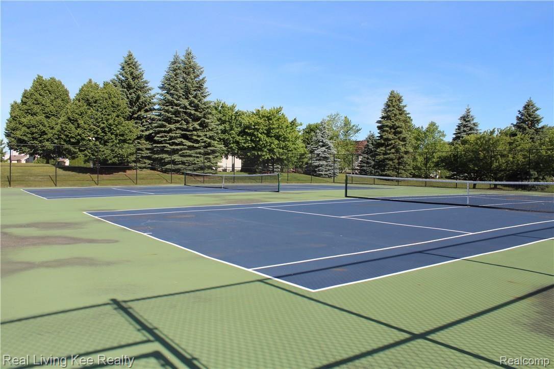 4059 Wincrest Lane Rochester, MI 48306 - Photo 50 of 54 baseketball.jpg