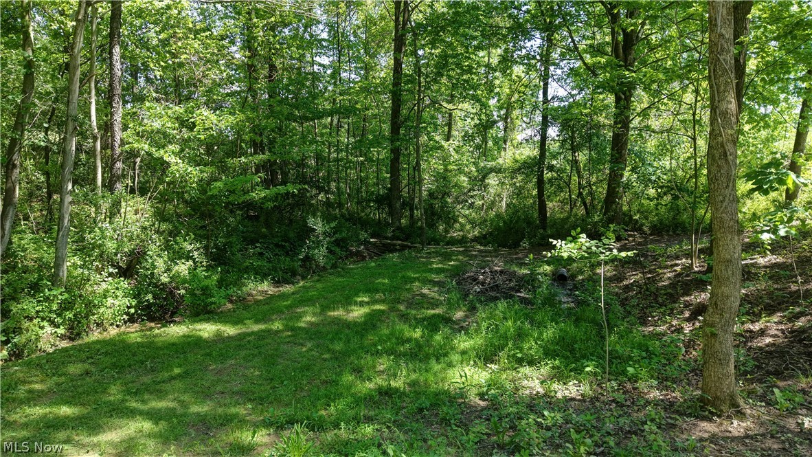 557 Beans Road Sherrodsville, OH 44675 - Photo 45 of 49
