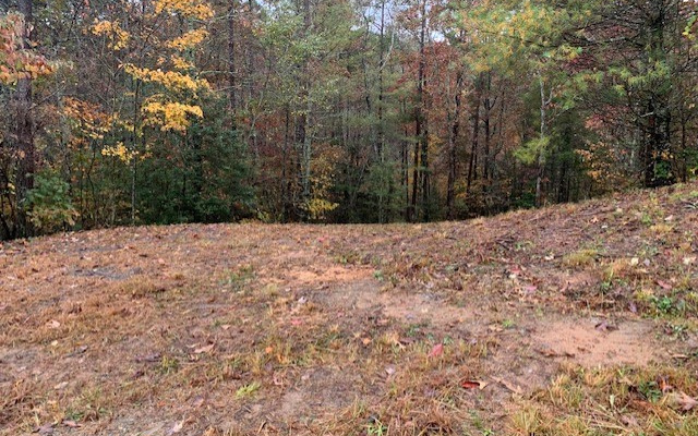Lt7 Lt7 Chimney Ridge Ellijay, GA 30540 - Photo 3 of 4 Additional View