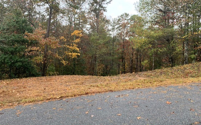 Lt7 Lt7 Chimney Ridge Ellijay, GA 30540 - Photo 4 of 4 Additional View