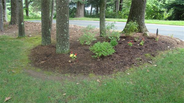 421 NW Road Westfield, MA 01085 - Photo 3 of 21 Gallery Image 3