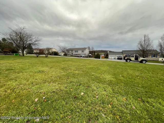 a view of a big yard with plants and large trees
