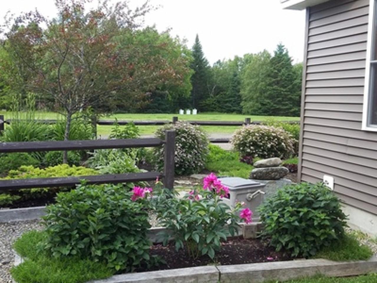1598 Town Line Road Merrill, ME 04780 - Photo 3 of 34 Gustin_11766_P03_129570