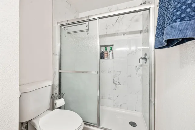 a bathroom with a shower and toilet